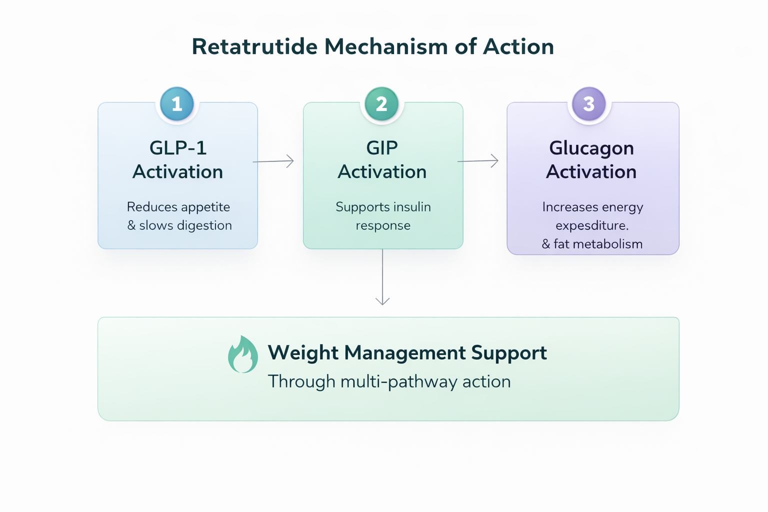 Retatrutide mechanism of action diagram GLP-1 GIP glucagon pathways