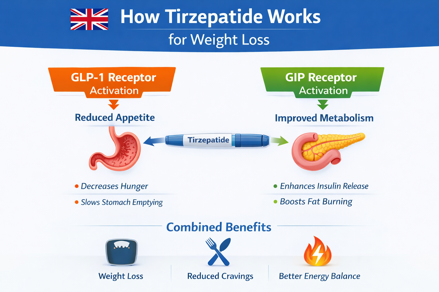 Tirzepatide mechanism showing GLP-1 and GIP receptor activation for weight loss UK